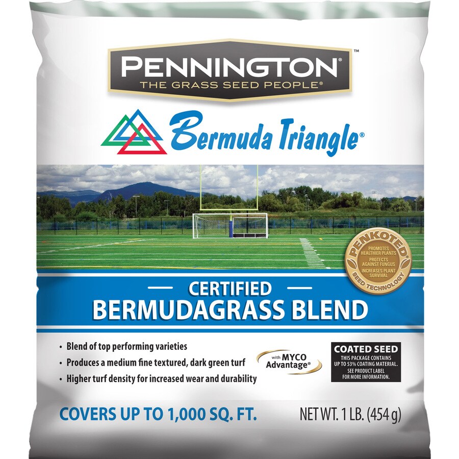 Pennington Bermuda Triangle 1-lb Bermuda Grass Seed At Lowes.com