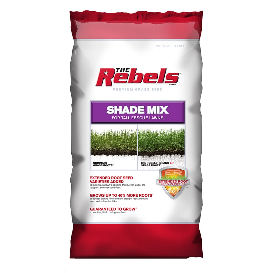 Rebel 2149601334 Premium 3-lb Mixture/Blend Grass Seed