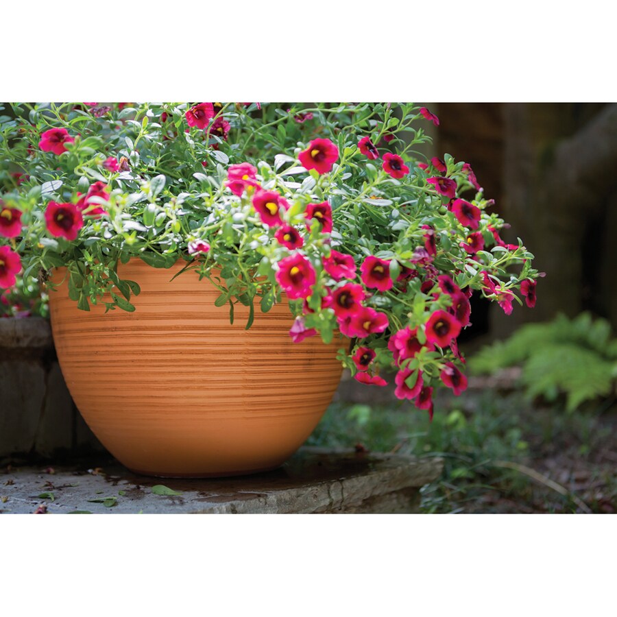 Pennington 2149601622  - View #3