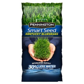 Pennington SMART SEED 3-lb Bluegrass Seed
