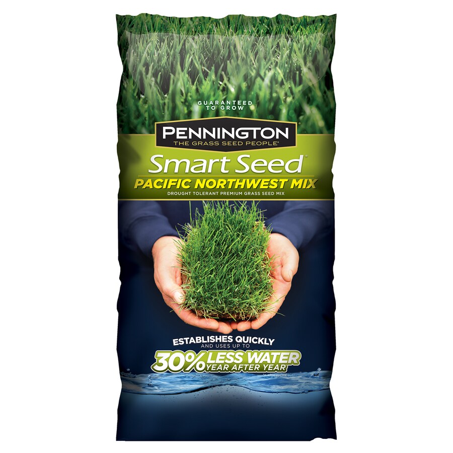 Pennington SMART SEED PACIFIC NORTHWEST MIX 7lb Mixture/Blend Grass
