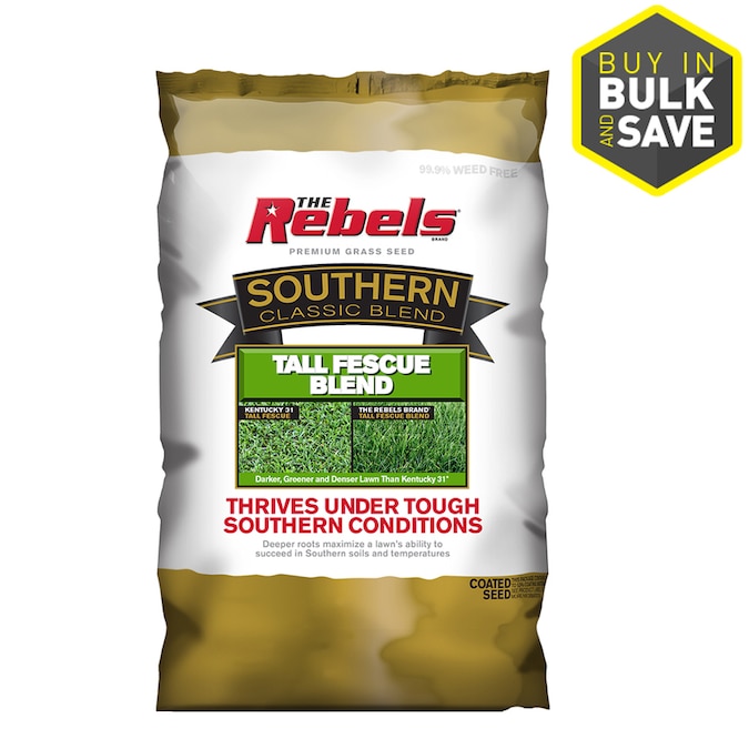 Rebel SOUTHERN CLASSIC Tall Fescue Grass Seed in the Grass Seed ...