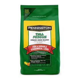 Gr Seed At Lowes Pennington 5 Lb Tall Fescue Seed