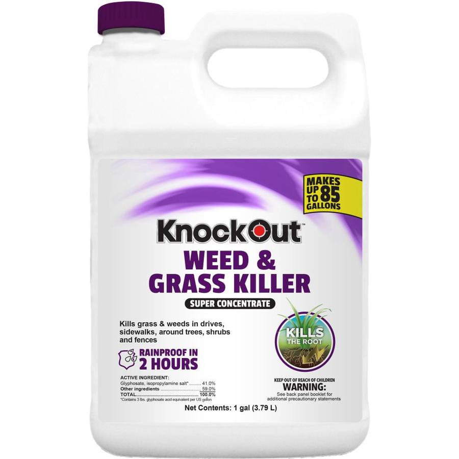 Knock Out 1-Gallon Concentrated Weed and Grass Killer at
