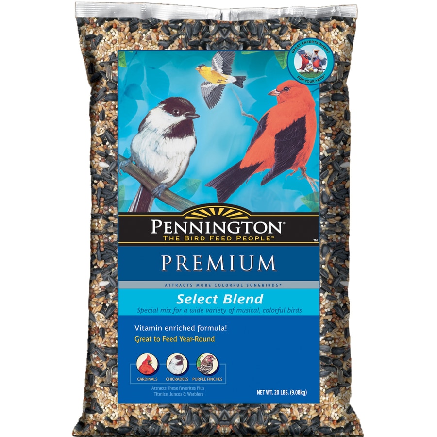 Pennington PENNINGTON 20# PREM SELECT BLEND at Lowes.com