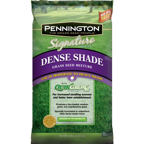 Pennington Signature 3 Lbs Shade Fescue Grass Seed Mixture At Lowes.com