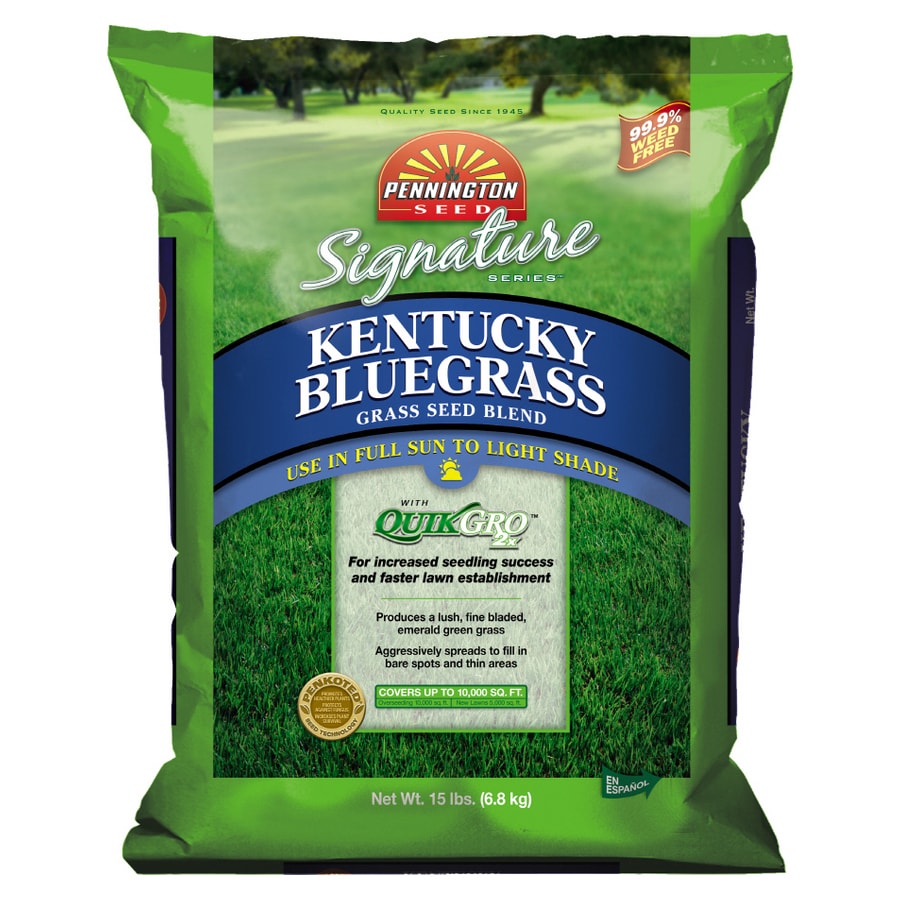 Pennington 15 Lbs. Signature Series Kentucky Bluegrass Blend in the