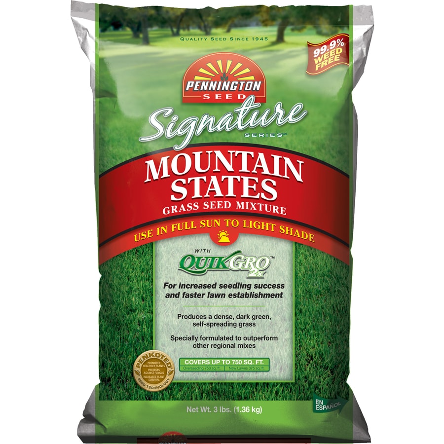 Pennington Grass Seed at