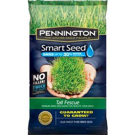 Pennington Smart Seed 20-lb Tall Fescue Seed