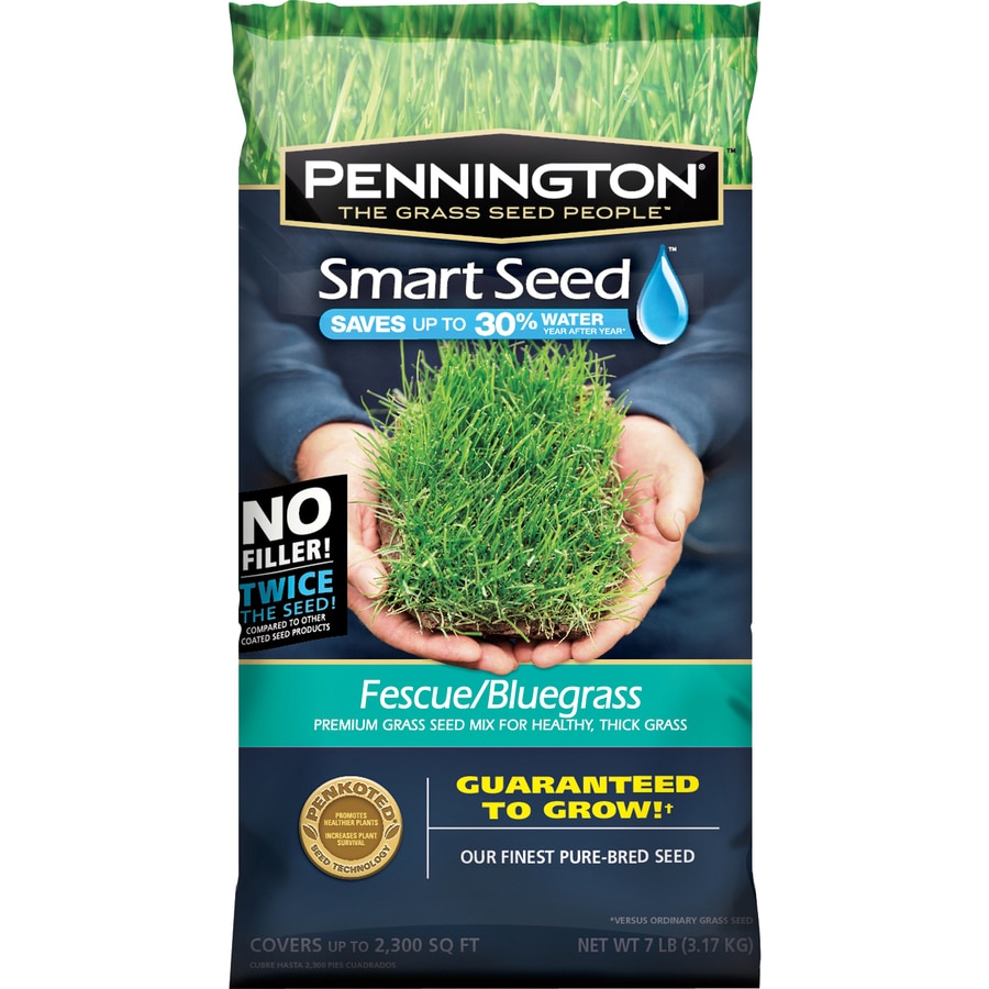Shop Pennington Smart Seed 7 Lb Sun And Shade Grass Seed At