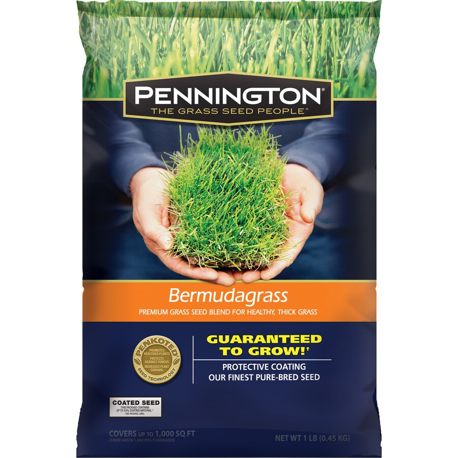 Pennington 118544 Bermuda Grass Seed
