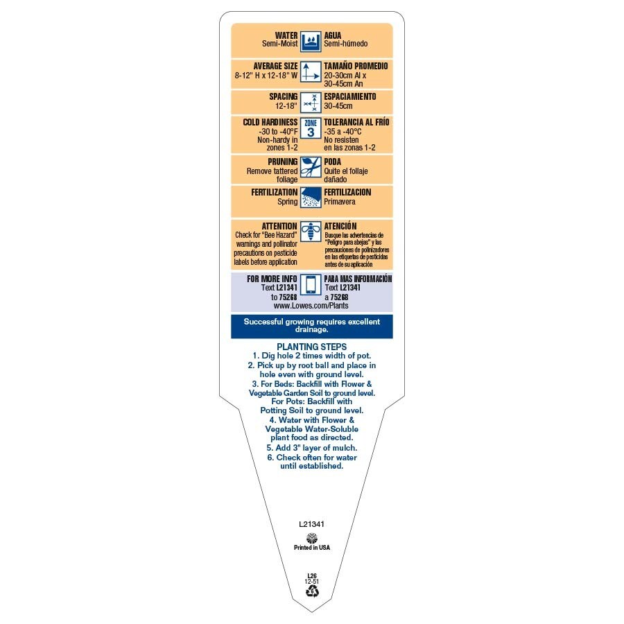 Lowe's NURSERY annuals - View #4