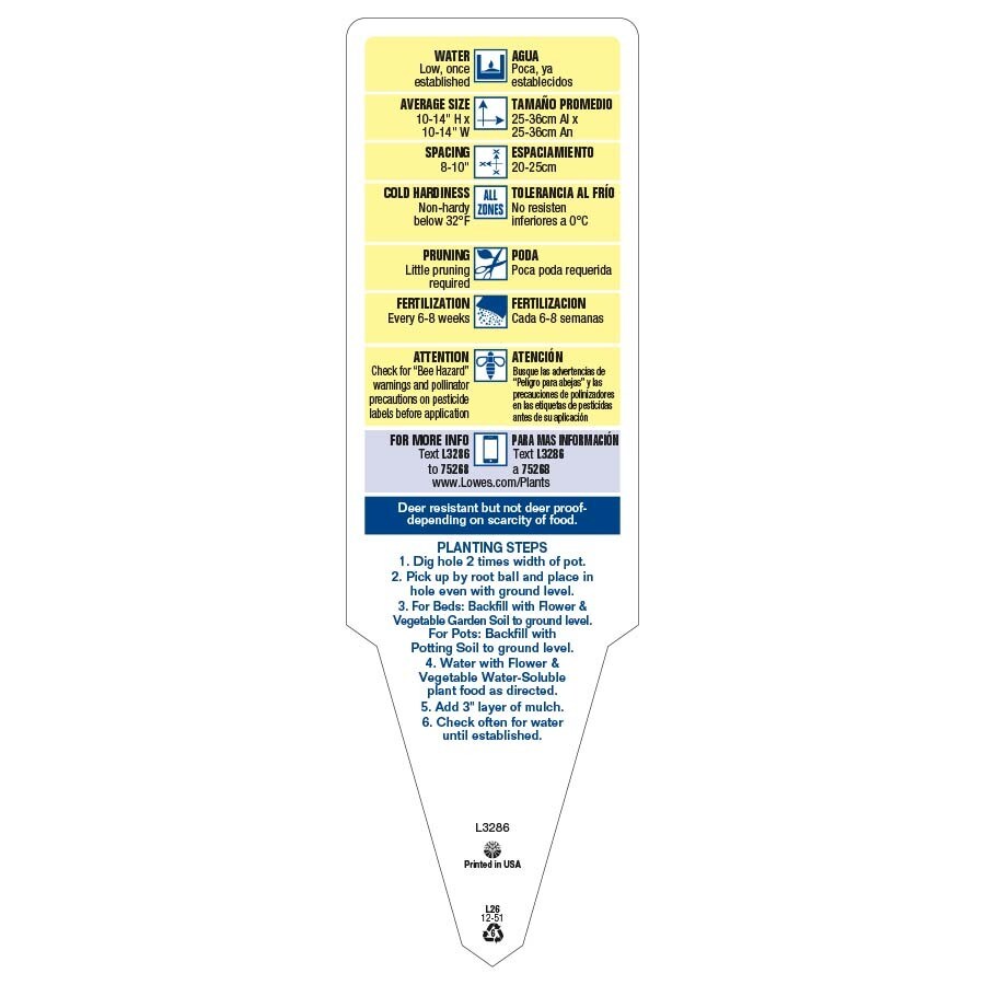 Lowe's 1.50GLVRWBHB annuals - View #3