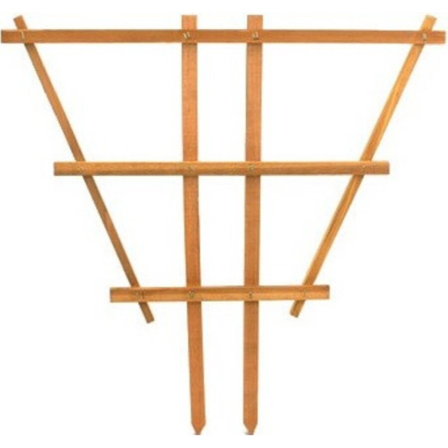 Matthews Four Seasons 18in W x 24in H Heartwood Garden Trellis at