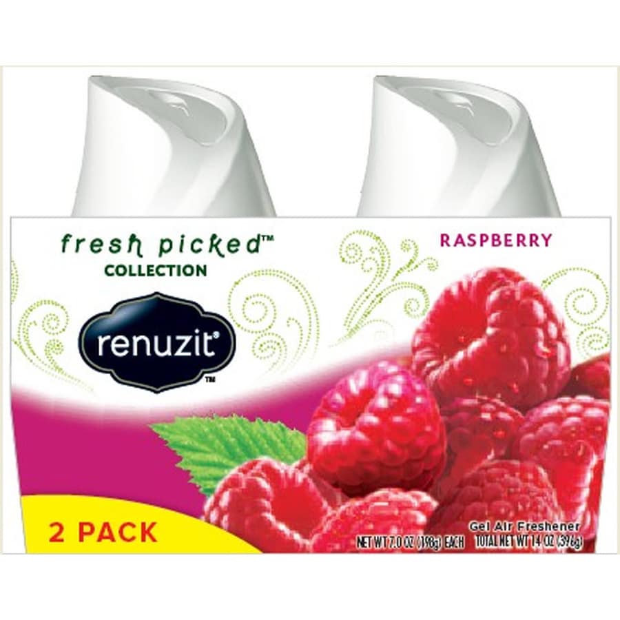 Renuzit AIR 2Pack Raspberry Gel Air Freshener at