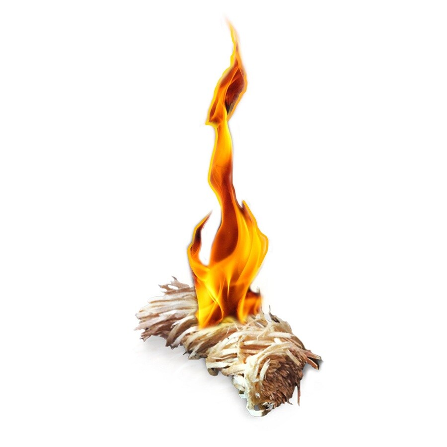 Frontier 205-330-448  - View #2