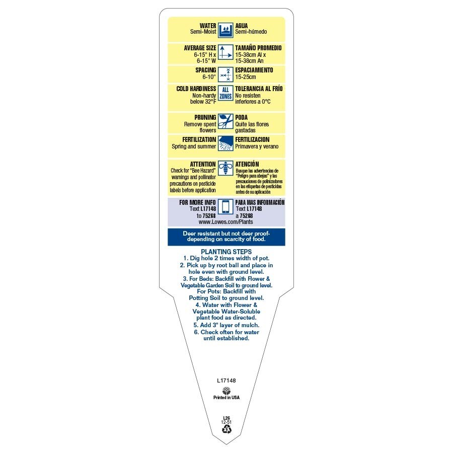 Lowe's 93432 annuals - View #2