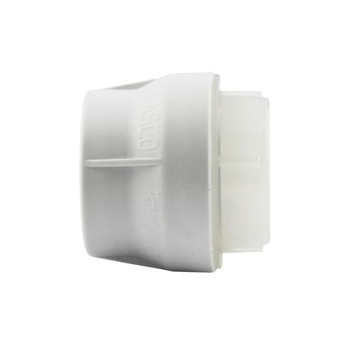 LASCO 3/4in x dia Cap Cap PVC Fitting in the PVC Fittings department