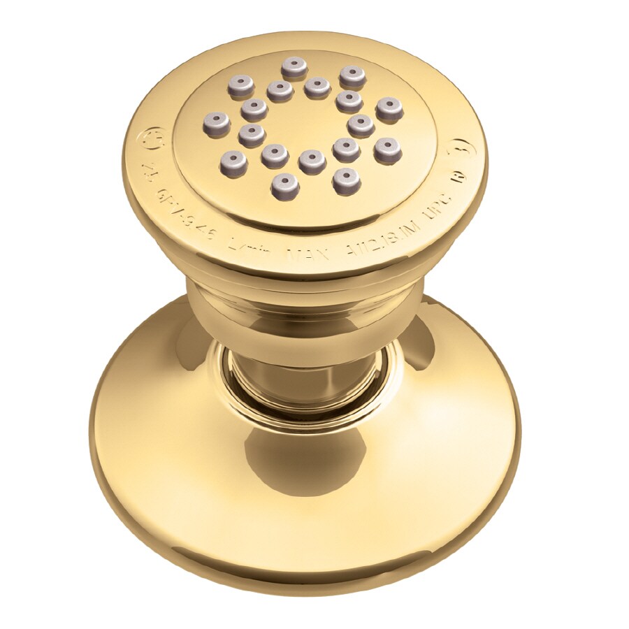 Moen Classic Gold Shower Head in the Shower Heads department at