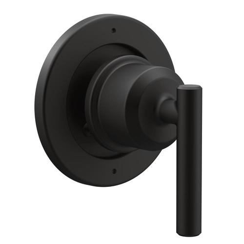 Moen Black Lever Shower Handle in the Shower Faucet ...