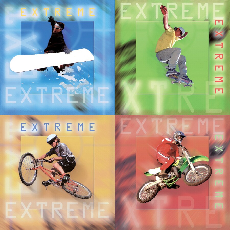 IMPERIAL 3142011 Extreme Sports Self Stick Wall Art