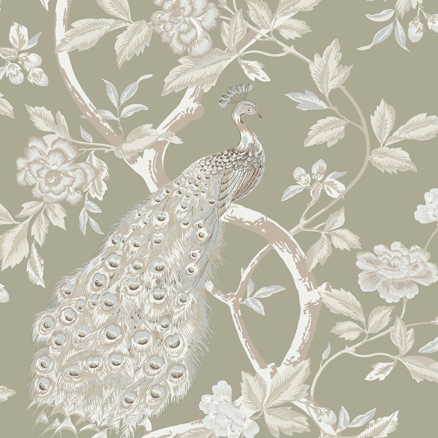 Image of Pavo HD Lowes website