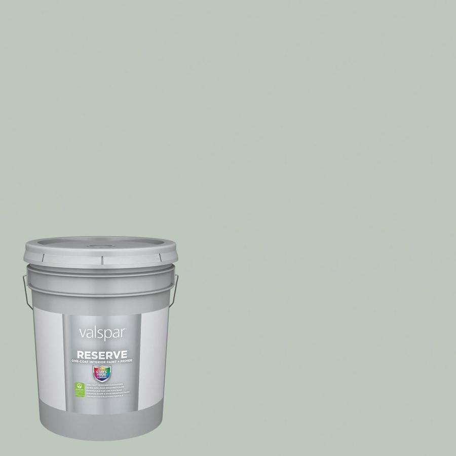 Valspar Reserve Eggshell Garden Flower 50043b Interior Paint (5Gallon