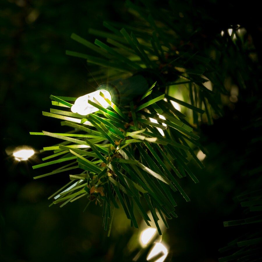 Holiday Living W14L0441  - View #4