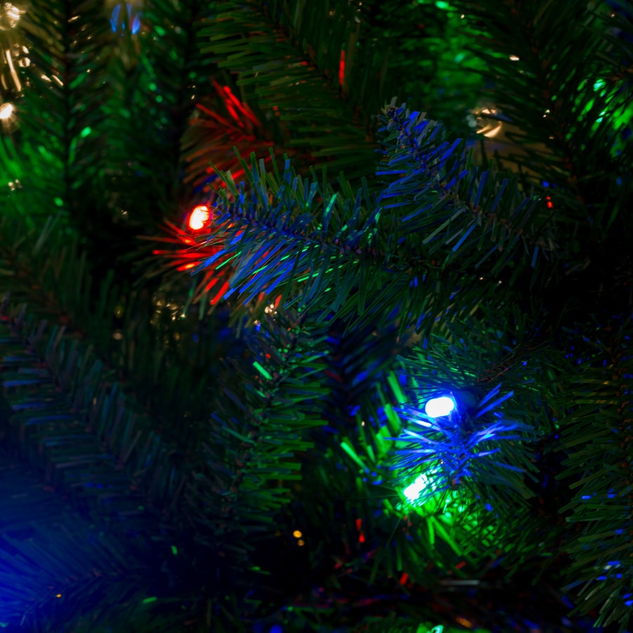 Holiday Living W14L0441  - View #5