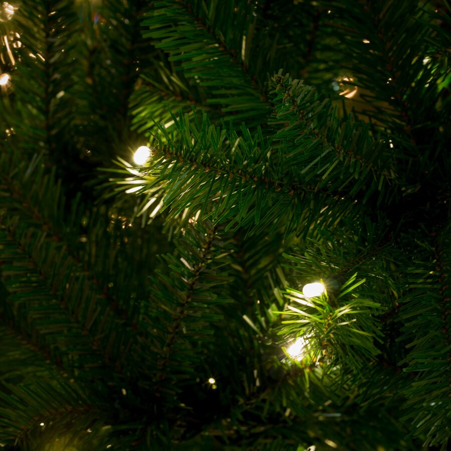 Holiday Living W14L0441  - View #6