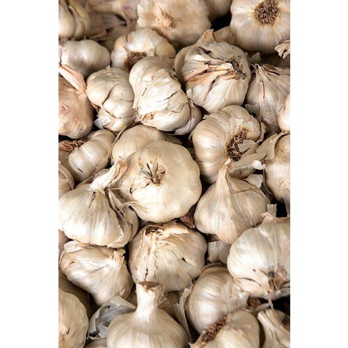 3 Count Garlic Bulbs (L20406) in the Plant Bulbs