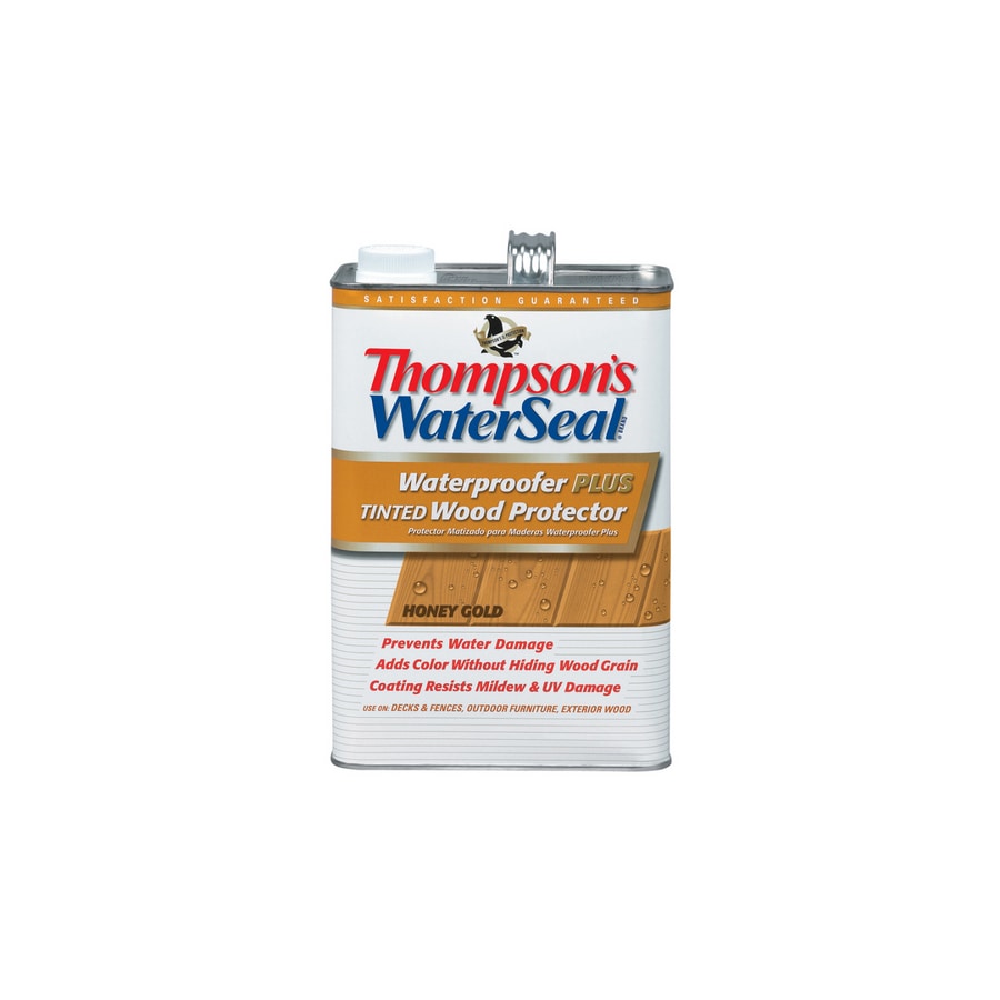 Thompson's WaterSeal Waterproofer Plus Tinted Wood Protector Sheer