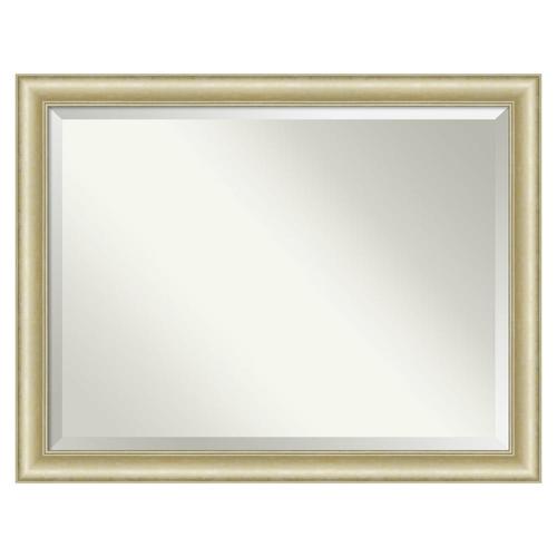 Amanti Art Textured Light Gold Frame Collection 45in Brushed Gold