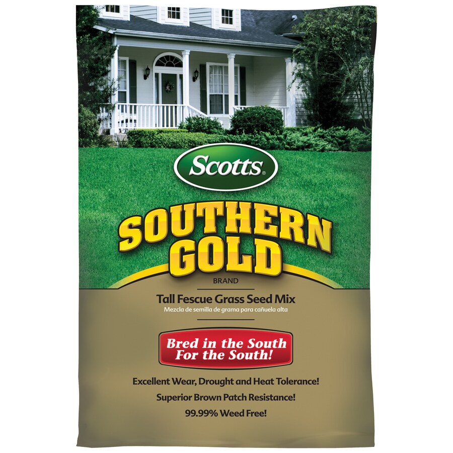 Scotts 17449 Southern Gold Fescue Grass Seed