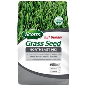 Gr Seed At Lowes Scotts 3 Lb Northeast Seed