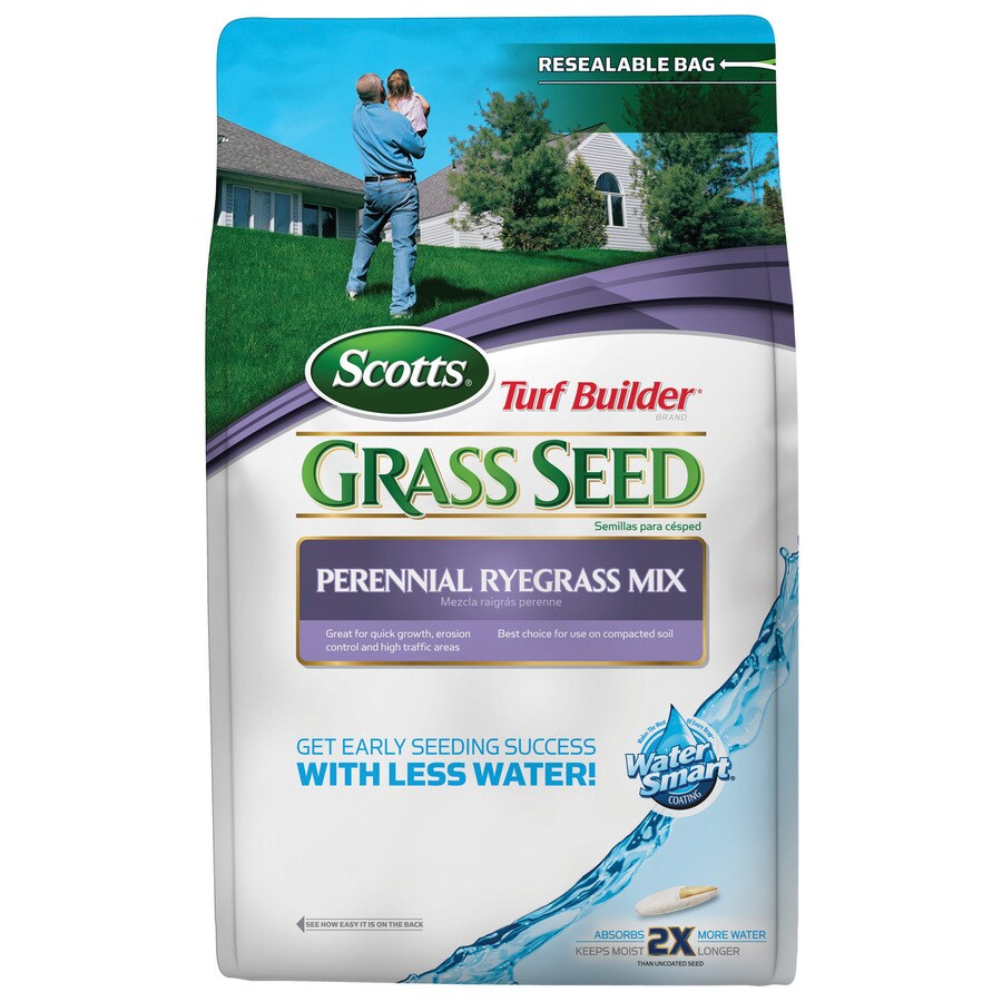 Scotts Turf Builder 7lb Annual Ryegrass Grass Seed in the Grass Seed