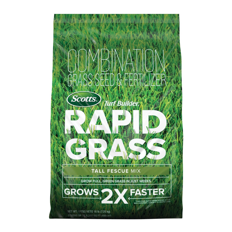 Scotts Turf Builder Rapid Grass Tall fescue Grass Seed in ...