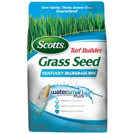 UPC 032247182669 product image for Scotts Turf Builder 3-lbs Sun and Shade Bluegrass Seed | upcitemdb.com