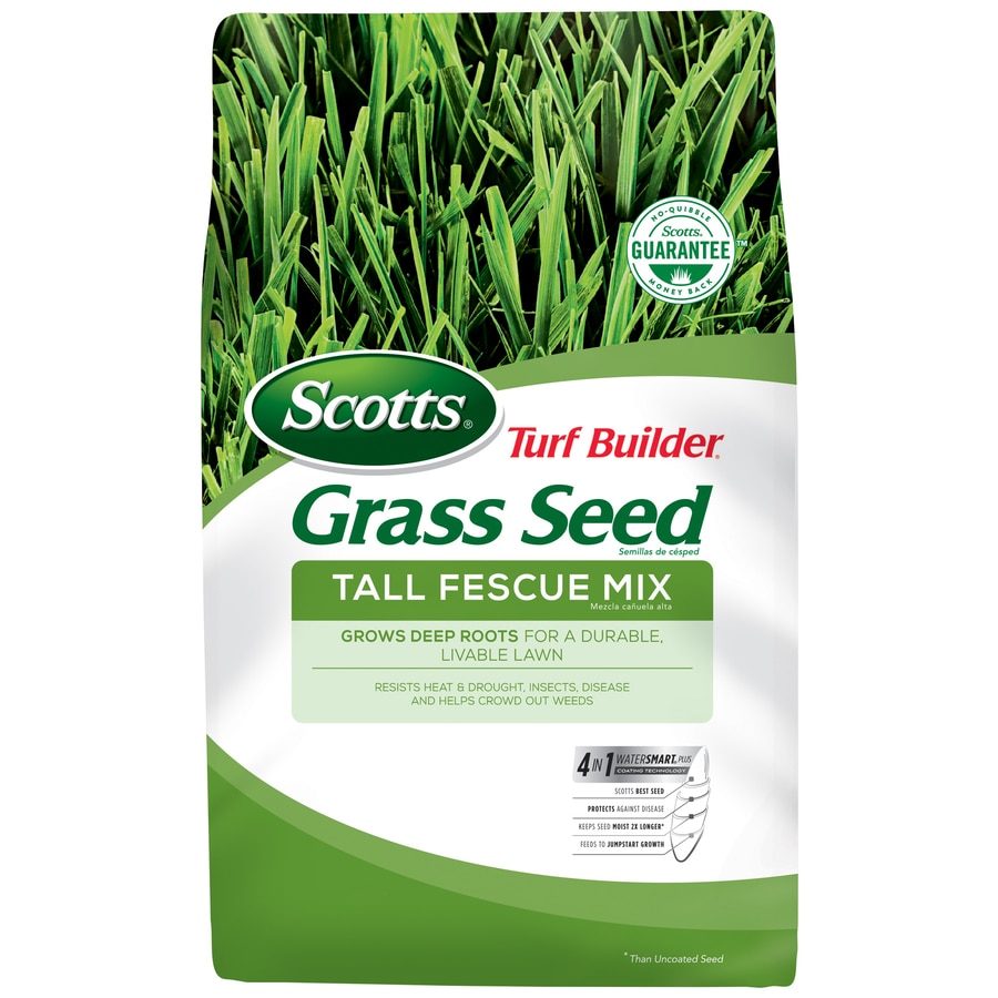 Scotts 18320 Turf Builder 3-lb Tall Fescue Grass Seed