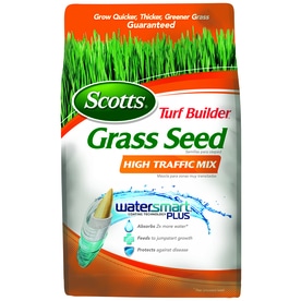 UPC 032247183543 product image for Scotts Turf Builder 3-lbs Sun Ryegrass Seed Mixture | upcitemdb.com