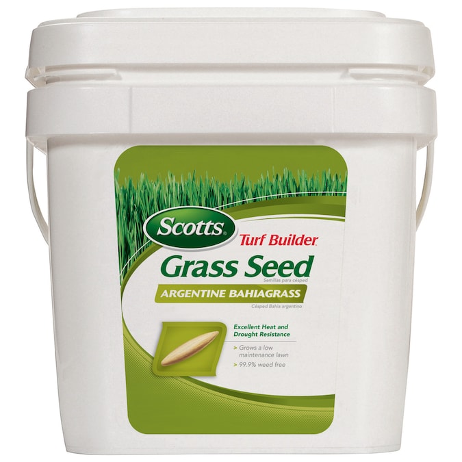 Scotts Turf Builder Argentine Bahia grass 5-lb Mixture/Blend Grass Seed