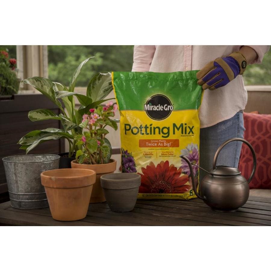 potting soil