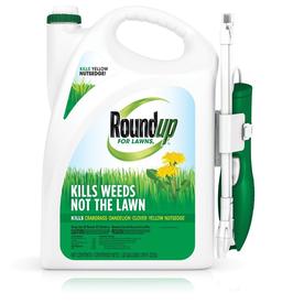 Roundup For Lawns Northern Herbicide With Wand - 1.33 gal