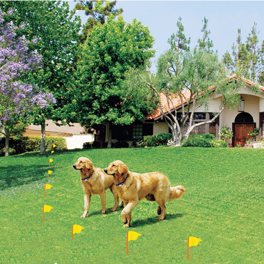High Tech Pet HC-8000SV Inground-Pet-Fence - View #2