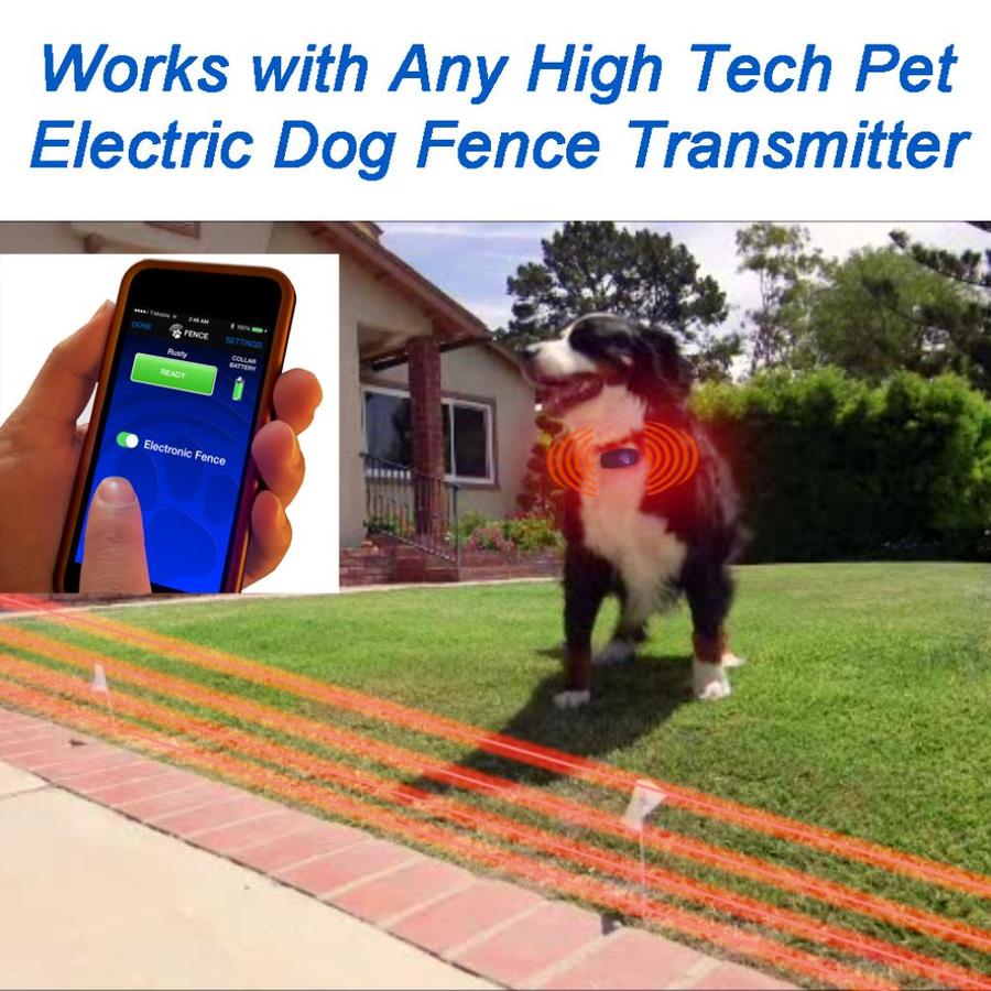 High Tech Pet BF-22 Pet-Training-Collars - View #5