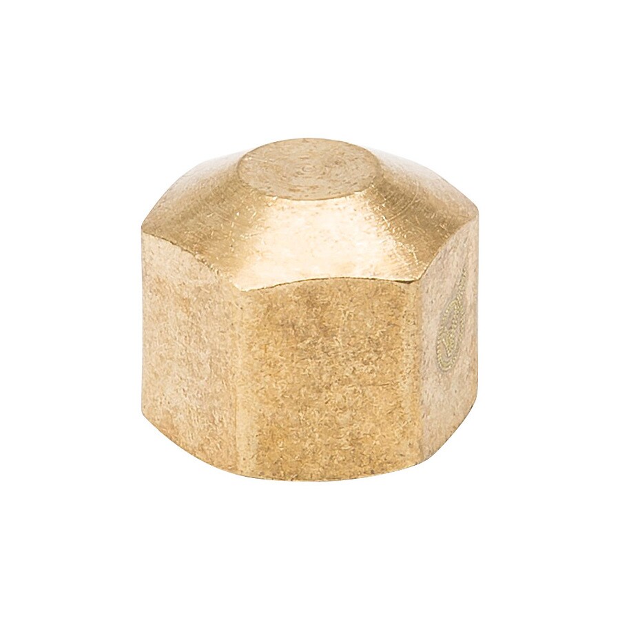 Proline Series CP-5NL 1/4-in Compression Cap Fitting