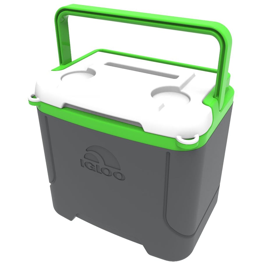 Igloo 16-Quart Plastic Personal Cooler at Lowes.com