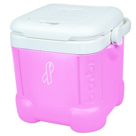 Ice Cube 14 Can Bca