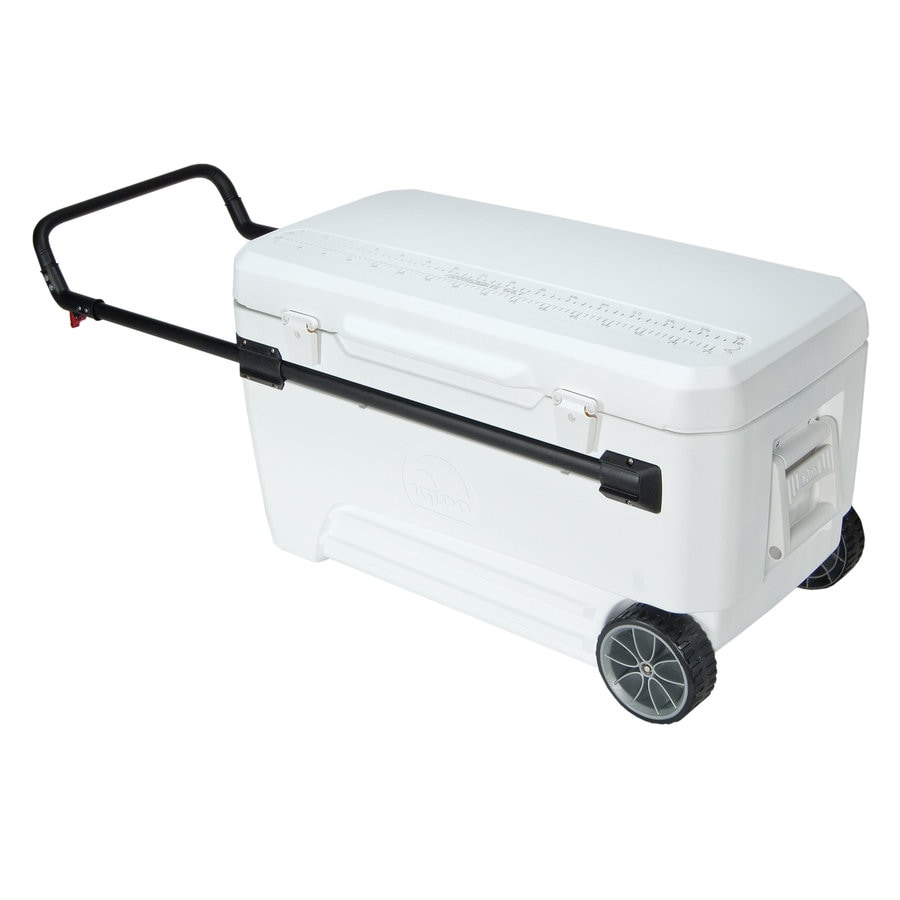 Shop Igloo 110-Quart Wheeled Plastic Chest Cooler at Lowes.com