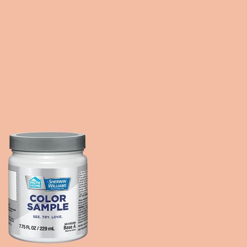 HGTV HOME by SherwinWilliams Wild Salmon Interior Paint Sample (Half